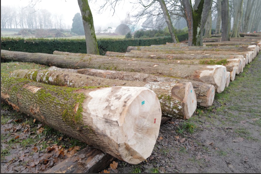 Mellanskog to raise log prices